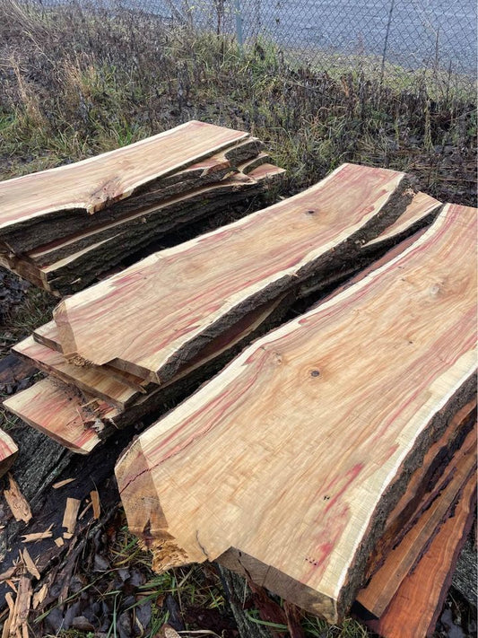 Box Elder